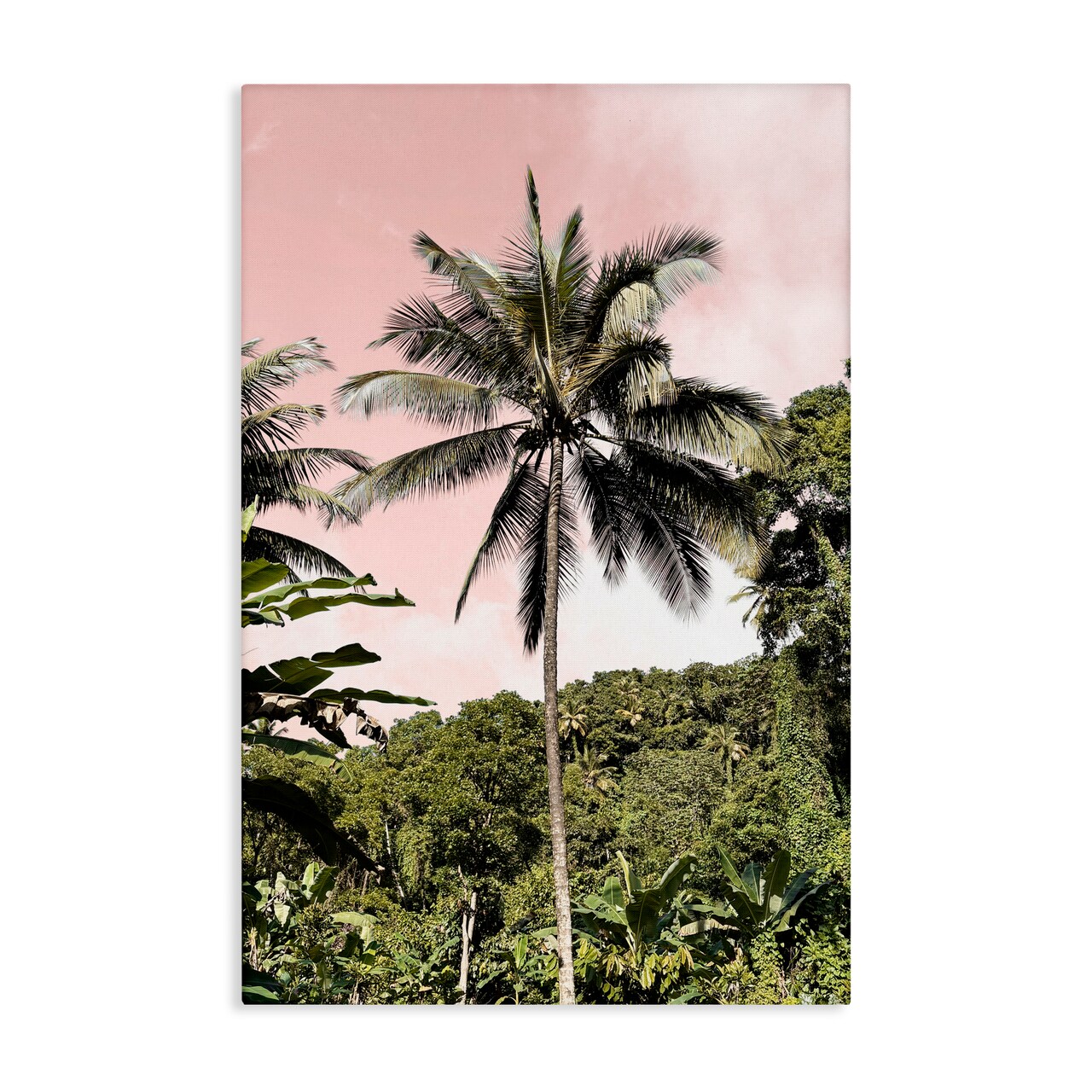 Stupell Industries Rainforest Palm on Pink Canvas, design by Natalie Carpentieri